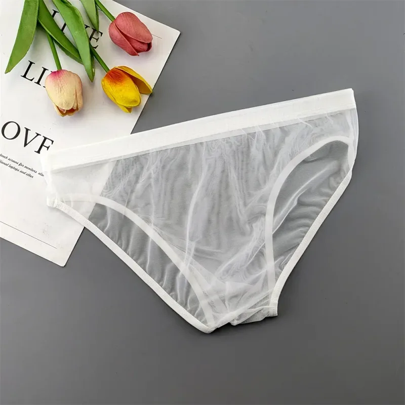 Sous-vêtements transparents de grande taille, slips Sexy pour hommes avec pochette en Nylon, slips respirants, culottes masculines XL-4XL