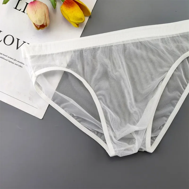 Sous-vêtements transparents de grande taille, slips Sexy pour hommes avec pochette en Nylon, slips respirants, culottes masculines XL-4XL
