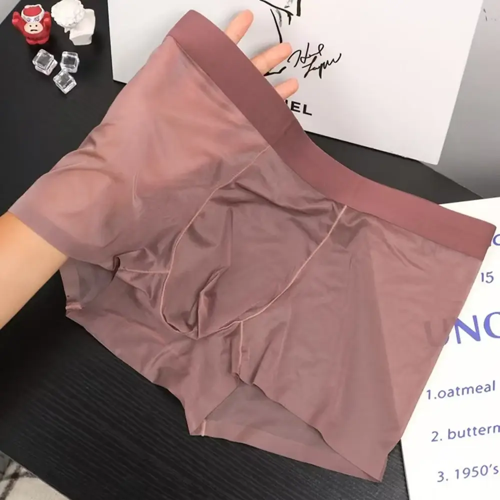 Men Sexy Elastic Men's Panties Quick Drying Ultra-thin Boxer Shorts Transparent Boxers Underwear U Bulge Pouch Sexy Und — image 3