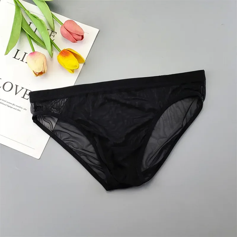 Sous-vêtements transparents de grande taille, slips Sexy pour hommes avec pochette en Nylon, slips respirants, culottes masculines XL-4XL
