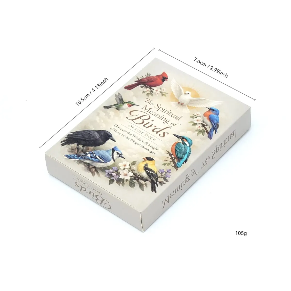 Spiritual Bird Oracle Card Deck 50 Feathered Messenger Cards for Intuitive Reading Symbolic Guidance Daily Reflection Nature Ins