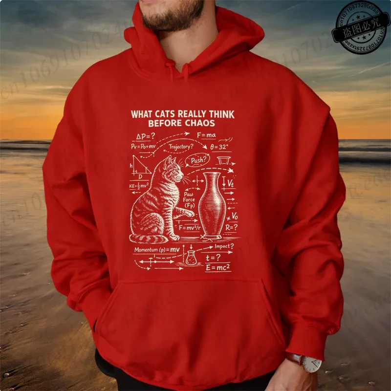 The Escape Plan Design Personalized Men Women Hoodies Sweatshirt Funny Science Teacher Physics Enthusiasts Fashion Brand Hoodies