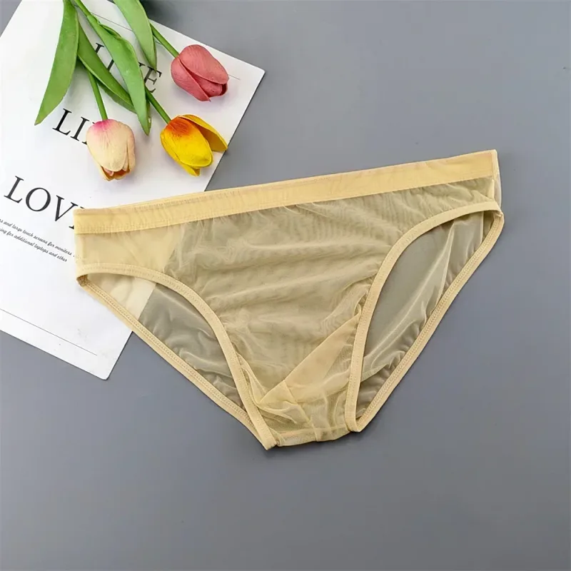 Sous-vêtements transparents de grande taille, slips Sexy pour hommes avec pochette en Nylon, slips respirants, culottes masculines XL-4XL