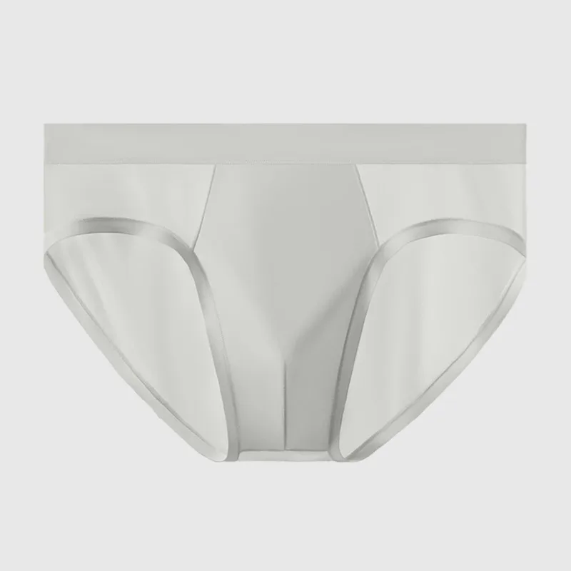 Men Ice Silk Seamless T-Back Mesh Sheer Brief Underwear Ultra-Thin Lingerie Mid Rise Calcinha Cool Extreme Men's Panties Classic
