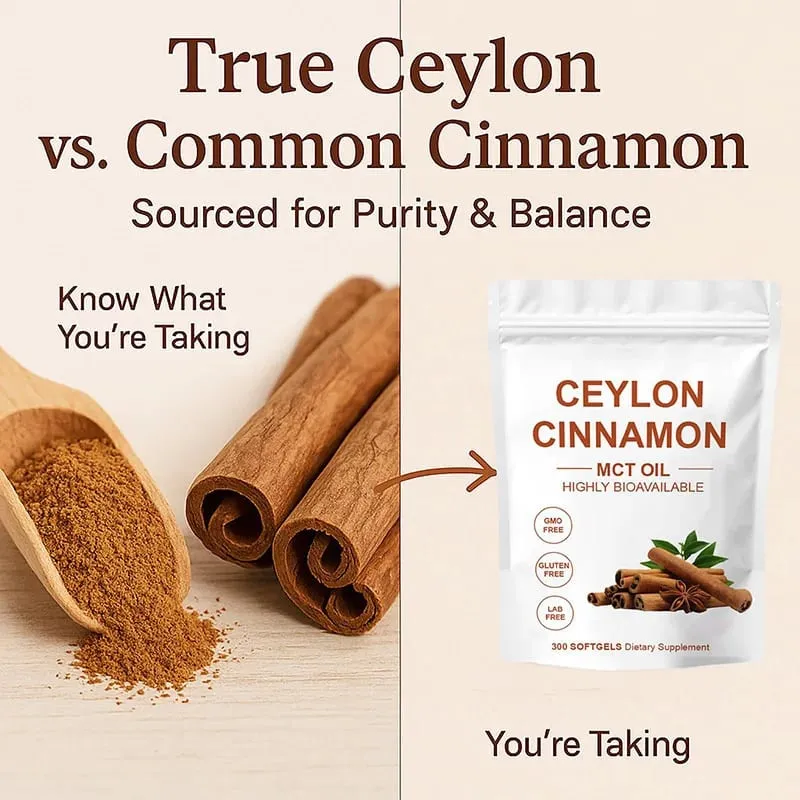 300 stk Ceylon Cinnamon Softgels Rene ingredienser Kosttilskud for afbalanceret ernæring Immunstøtte Nem fordøjelse