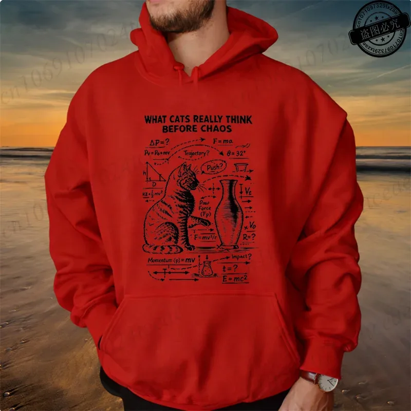 The Escape Plan Design Personalized Men Women Hoodies Sweatshirt Funny Science Teacher Physics Enthusiasts Fashion Brand Hoodies