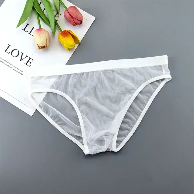 Sous-vêtements transparents de grande taille, slips Sexy pour hommes avec pochette en Nylon, slips respirants, culottes masculines XL-4XL