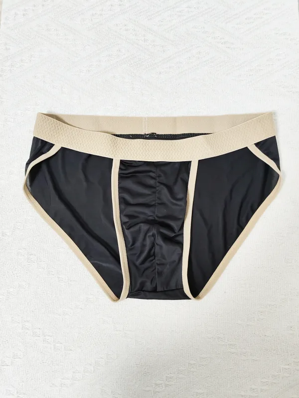 6PCS Men's Briefs Ice Silk Material Cool Smooth Comfortable Pure Color Simple Briefs