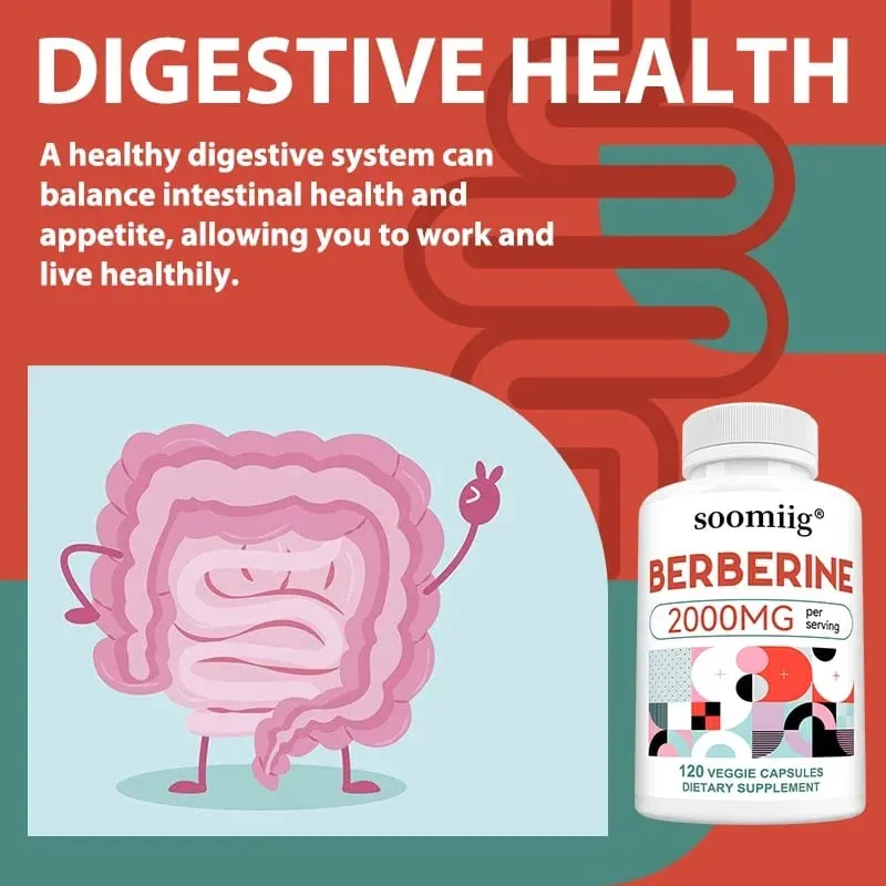2000 Mg Berberine Supplement Capsules Supports Metabolism Regulates Blood Sugar Levels and Enhances The Immune System — image 5