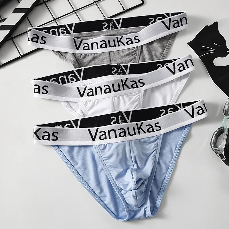 Men's High Cut Panties Soft Modal Fabric Low Rise Briefs Sexy Comfortable Underwear