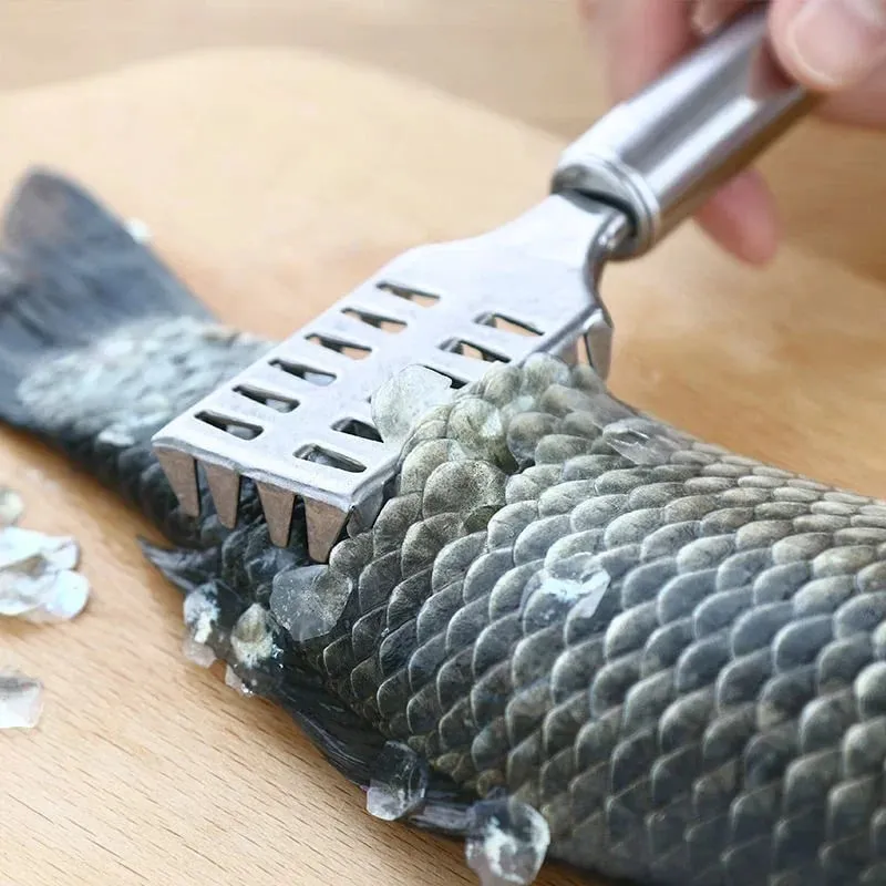 Fish Scale Removal Essential! Stainless Steel Round Tube Fish Scraper Fast No Splatter Effortless Kitchen Fish Tool — image 1