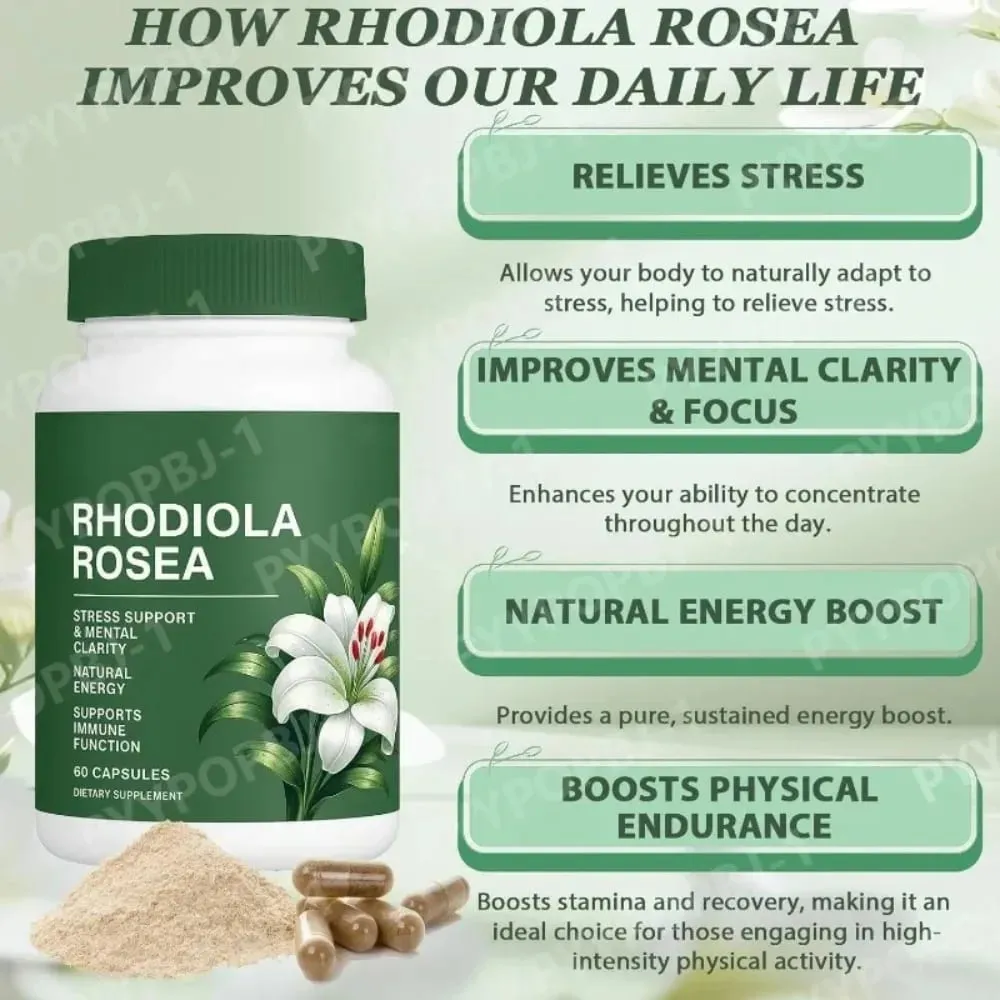 Rhodiola Rosea Capsules 500mg Herbal Supplement for Daily Energy Balance Mental Focus Adaptogen Plant Extract 60 Capsules — image 5