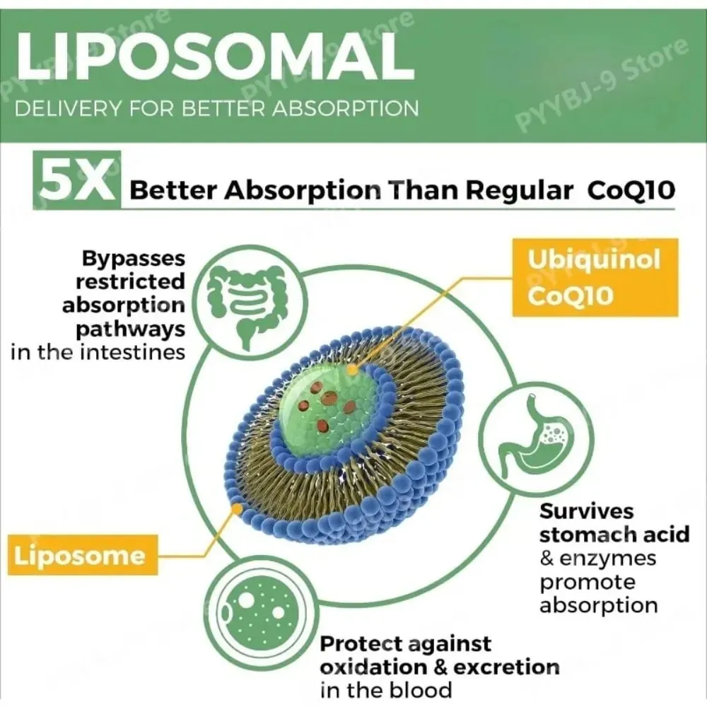 CoQ10 Ubiquinol 1000mg Vegan Softgels 60 Ct Liposomal High Absorption Coenzyme Q10 for Heart Energy Antioxidant Daily Support — image 4