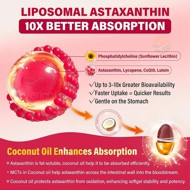 Liposomal Astaxanthin Supplements with Lycopene CoQ10 Lutein Vitamin B6 E Zinc Antioxidants for Healthy Skin Eyes Aging