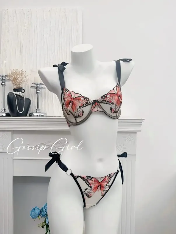Butterfly Embroidery French Lace Bra Sheer Net Elastic Straps No Padding Romantic Womens Lingerie Set S-XL Soft Comfy — image 11