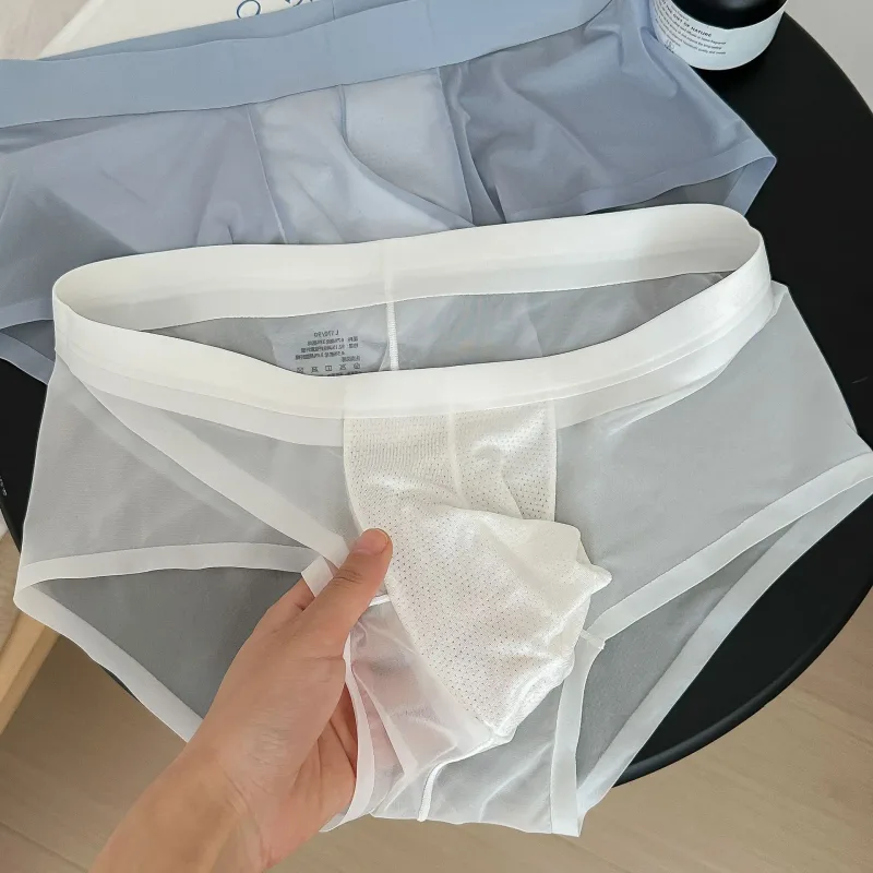 Slips transparents pour hommes Ultra-mince en soie glacée culotte à séchage rapide Sexy U poche bombée sous-vêtements pour hommes caleçons respirants Cuecas