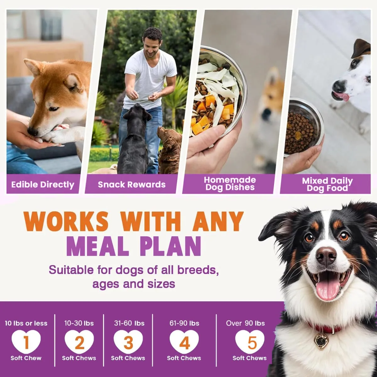 Suplemen Multivitamin Anjing Kanan & Anak Anjing Multi Vitamin Perisa Ayam Kunyah untuk Kekebalan Sendi Haiwan Kebolehgerakan Tenaga Kulit Usus