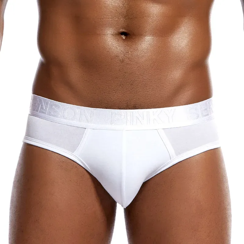 Pinky Seaso marque meilleure vente Sexy Triangle pantalon Modal mince couleur unie sous-vêtements hommes Modal slips ventiler grande taille hommes