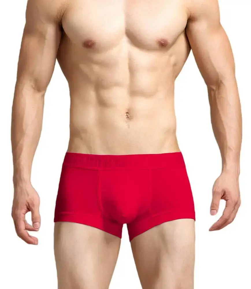 Men's Ribbed Boxer Briefs with 3D Contoured Pouch Elastic Waistband Soft Stretch Fabric for Comfort Casual Underwear — image 15
