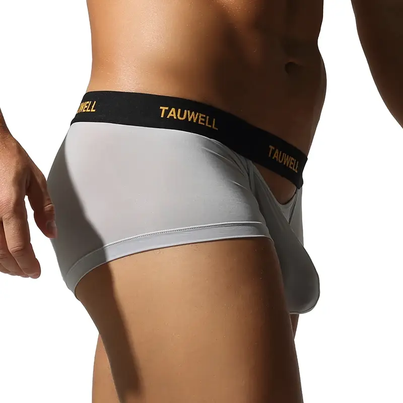 Men's Underwear Comfortable Cool Thin Sexy Semi-Transparent Flat Angle Pants with U-Shaped Pouch Briefs