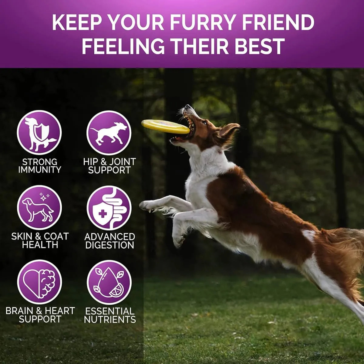 Suplemen Multivitamin Anjing Kanan & Anak Anjing Multi Vitamin Perisa Ayam Kunyah untuk Kekebalan Sendi Haiwan Kebolehgerakan Tenaga Kulit Usus