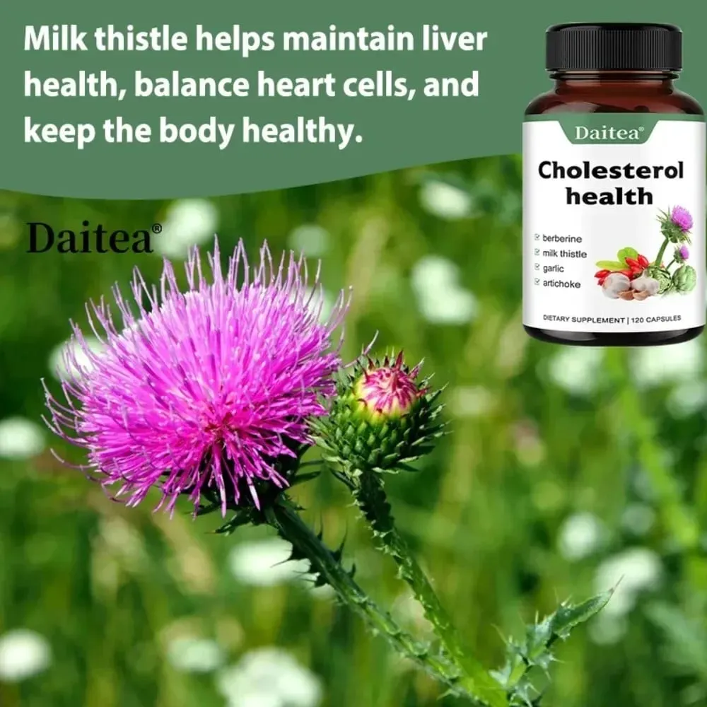 Cholesterol Supplements - Keep Blood Flowing and Promote Cardiovascular Health