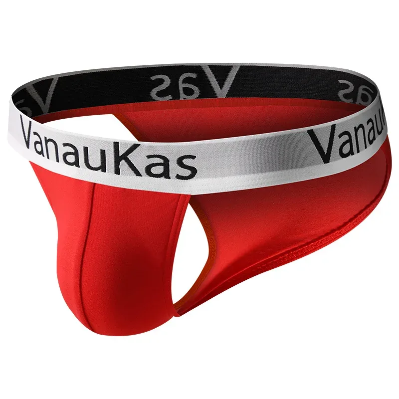 Men's High Cut Panties Soft Modal Fabric Low Rise Briefs Sexy Comfortable Underwear