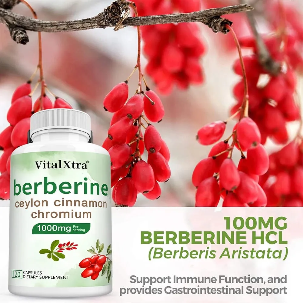 Berberine Capsules with Ceylon Cinnamon & Turmeric Support Heart Health Blood Sugar Liver Function Immune & Digestive Health