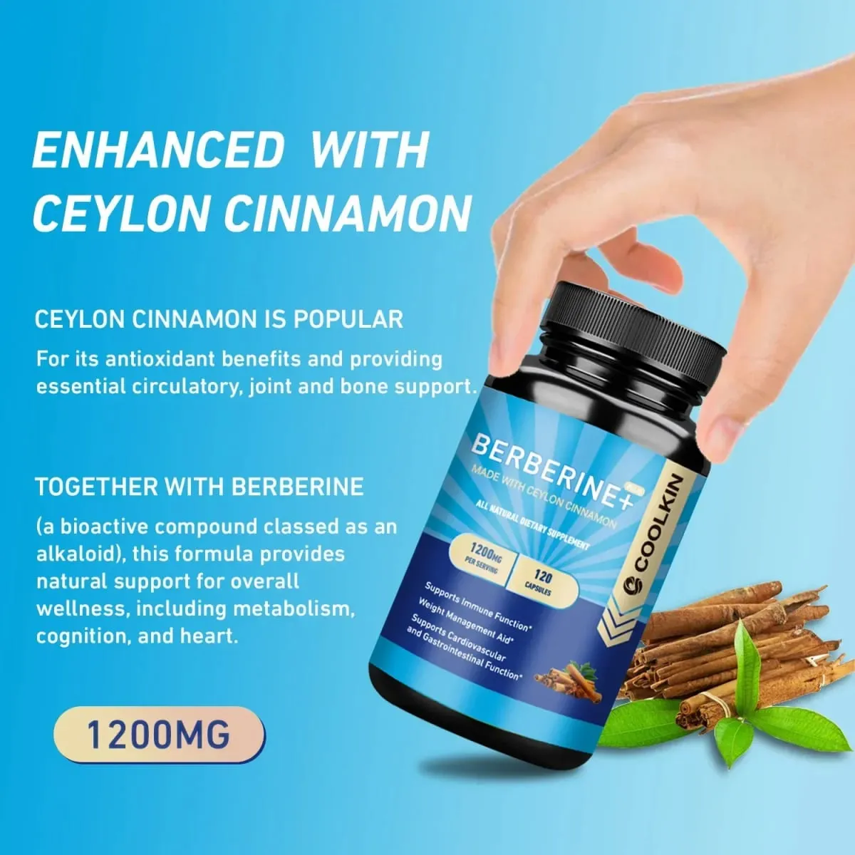 Premium Berberine HCl 1200 Mg Plus Økologisk Ceylon Kanel - Immunsystem Support Vægtkontrol supplement