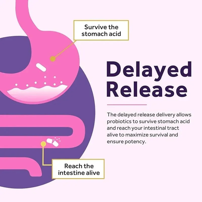 Women’s Probiotic - Improves Intestinal Health Improves Digestion and Relieves Bloating and Gas