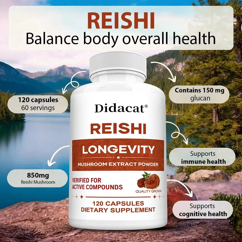 Reishi Extract Mushroom Supplements - Helps Boost The Immune System Supports Heart Health and Improved Sleep and Relaxation