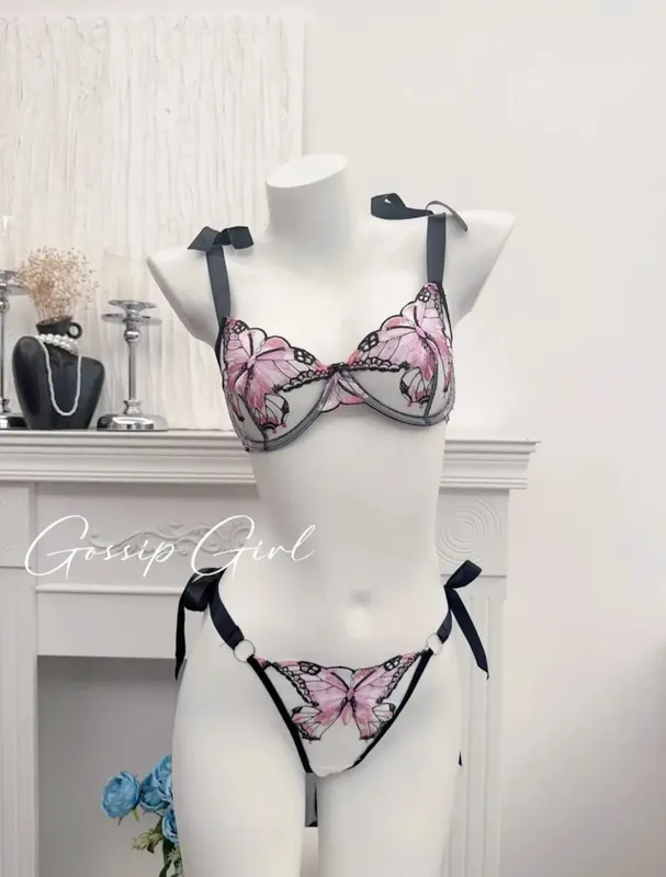 Butterfly Embroidery French Lace Bra Sheer Net Elastic Straps No Padding Romantic Womens Lingerie Set S-XL Soft Comfy — image 10