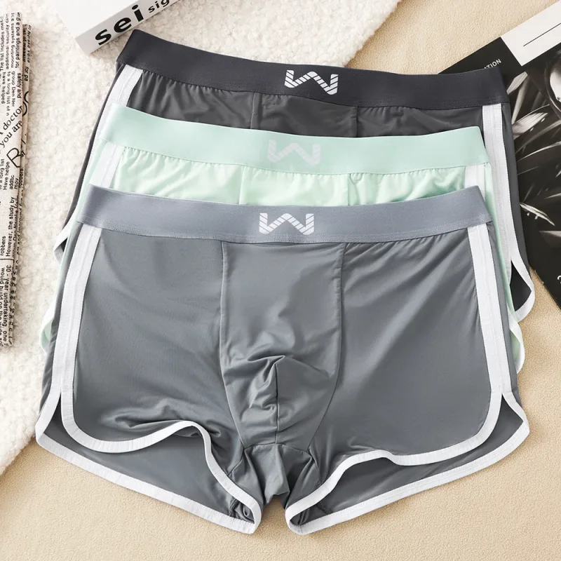 Caleçons en soie glacée pour hommes, 3 pièces/paquet, maille antibactérienne respirante, culotte à grande poche, taille haute élastique, Boxer pour hommes
