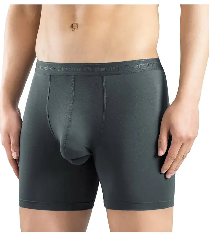 David Archy 3 Pack Mens Underwear Boxer Briefs Basic MicroModal Soft Breathable Mens Dual Pouch Boxers Quick Dry Sports Fitness — image 7