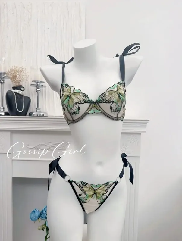 Butterfly Embroidery French Lace Bra Sheer Net Elastic Straps No Padding Romantic Womens Lingerie Set S-XL Soft Comfy — image 12