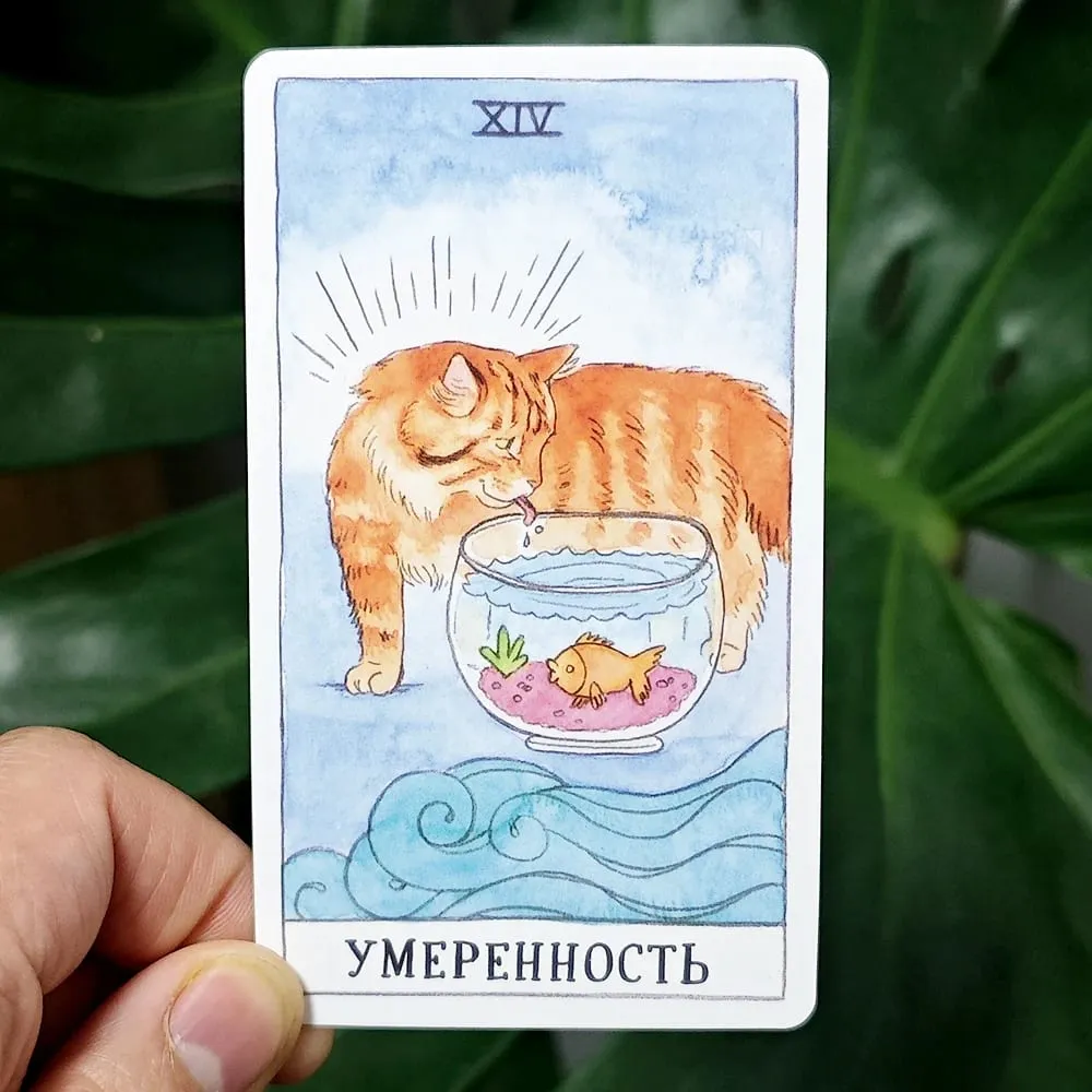 Gato tarô língua russa 10.3*6cm combina autenticidade com um senso de humor felino 78 peças cartas de tarô com tema de gato