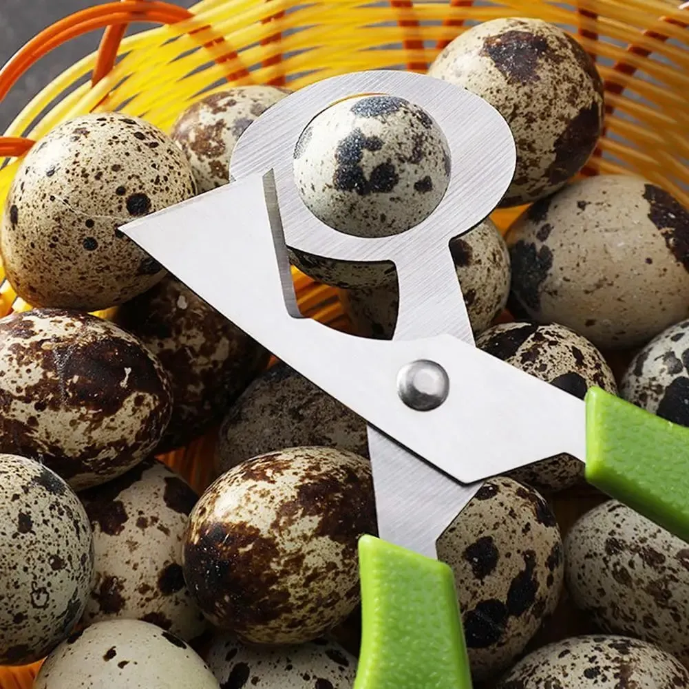 1-20PCS Stainless Steel Quail Egg Scissors Egg Shell Cutter Opener - High Quality Steel Blades Brand New Durable Egg Slicer Tool