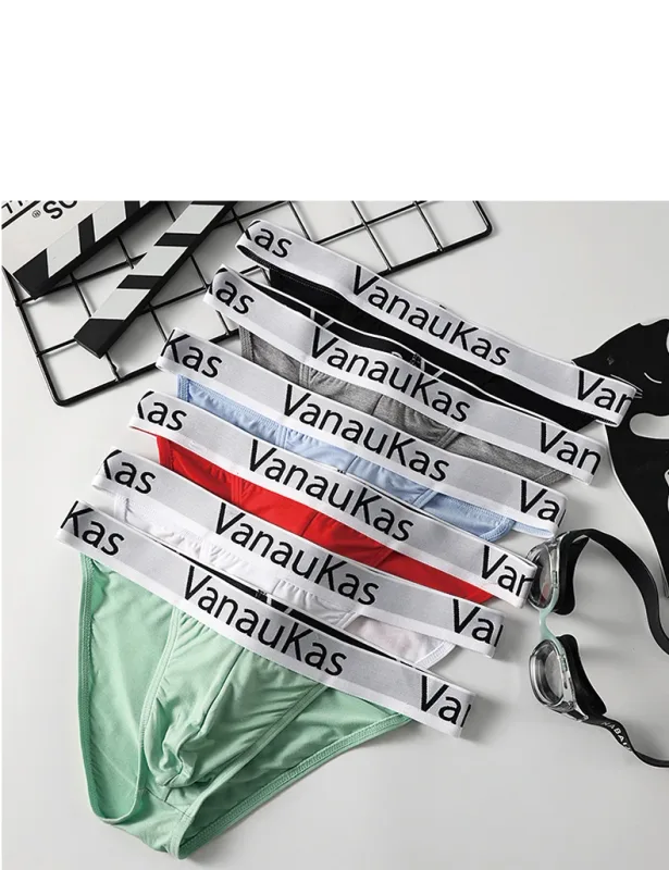 Men's High Cut Panties Soft Modal Fabric Low Rise Briefs Sexy Comfortable Underwear