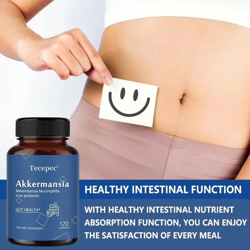 Akkermansia Probiotic Gut Health Support Supplement | Contains Akkermansia Muciniphila – Enhances Nutrient Absorption