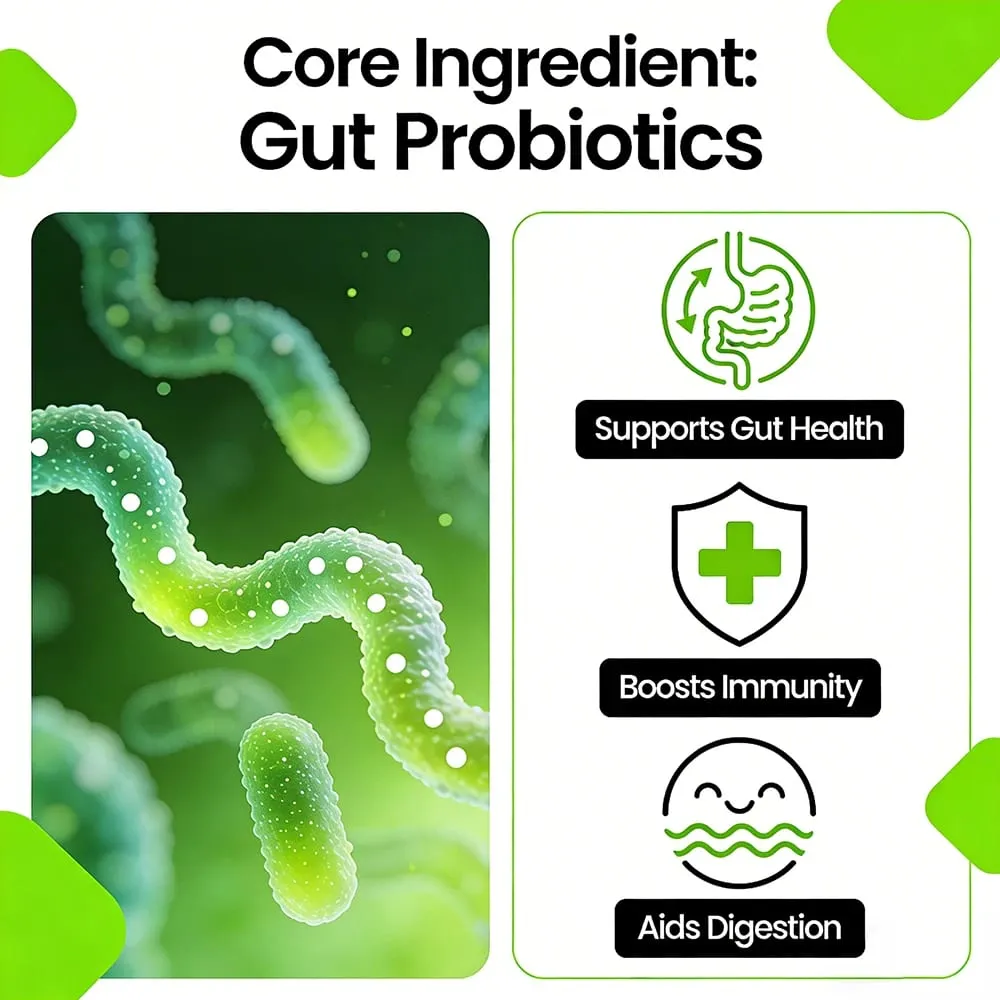 Probiotic Prebiotics & Digestive Enzymes Capsules Colon Cleanse & Detox Supports Gut Health Digestion & Balance Gut Bacteria — image 6