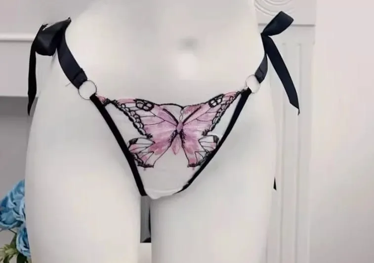 Butterfly Embroidery French Lace Bra Sheer Net Elastic Straps No Padding Romantic Womens Lingerie Set S-XL Soft Comfy — image 13