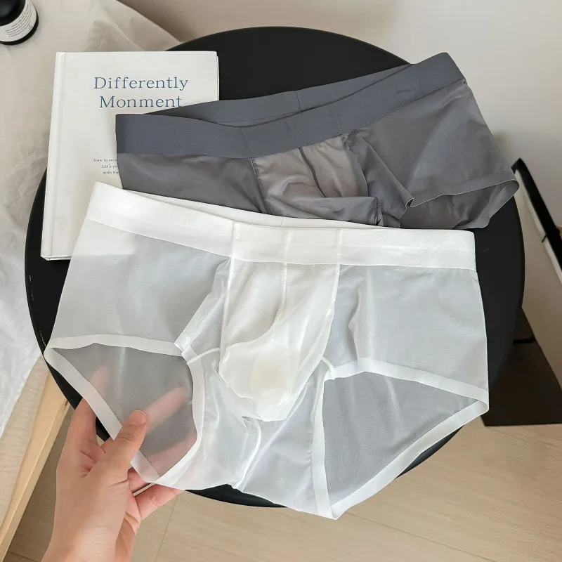 Slips transparents pour hommes Ultra-mince en soie glacée culotte à séchage rapide Sexy U poche bombée sous-vêtements pour hommes caleçons respirants Cuecas