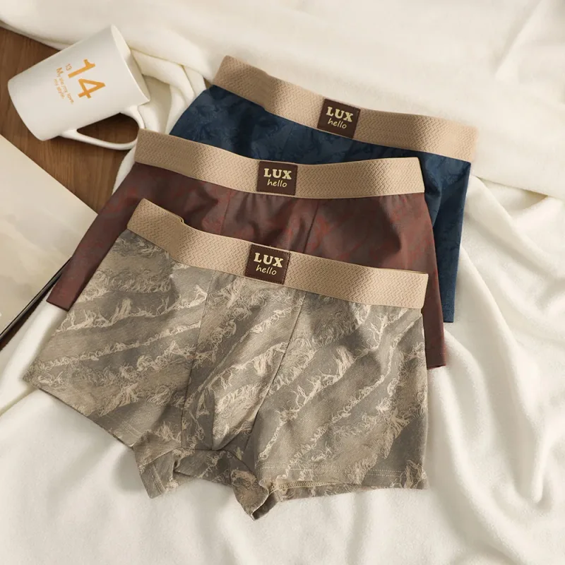 3 Cái/gói 100% Cotton Cao Cấp In Hình Võ Sĩ Hombre 3D Lưới Kháng Khuẩn Túi Quần Lót Mềm Mại Thoải Mái Quần Lót Nam