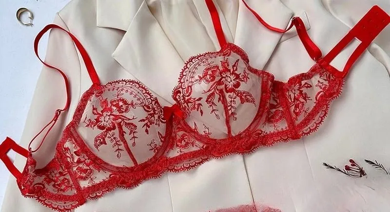 Lace Embroidery Ultra Thin Cup Bra Set Sheer Mesh Sleepwear for Big Bust Women S-XL Push Up Hot Sale 2026 32-38 S-XL Bra Set — image 18