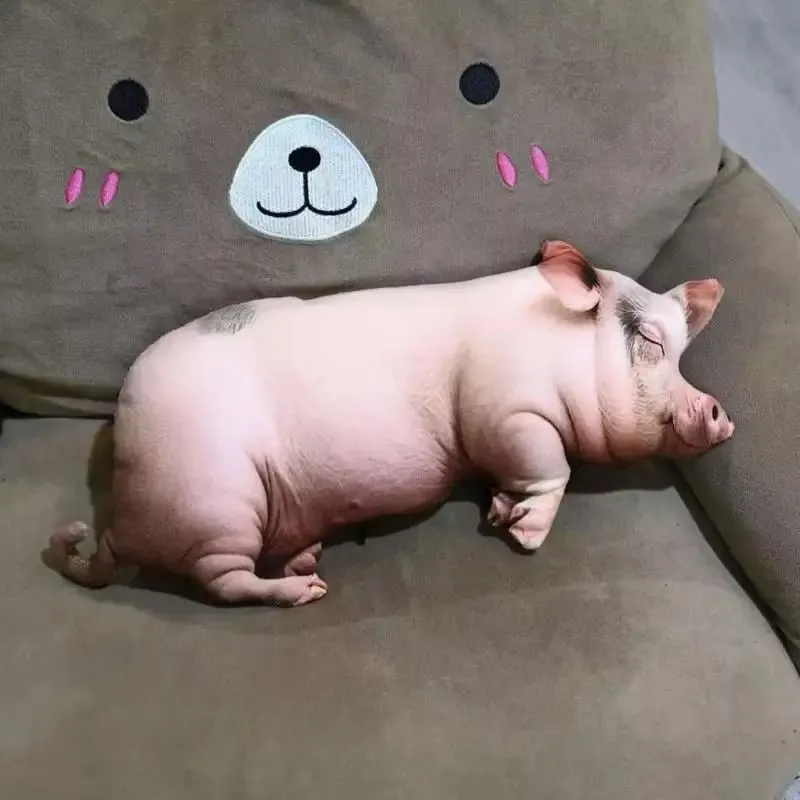 [Nouveau] jouets en peluche cochon endormis réalistes, en coton, poupée cochon imprimée réaliste, oreiller confortable et doux pour la maison, décoration de maison Kawaii