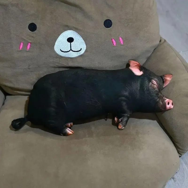 3D Realistic Pig Plush Pillow Super Soft Cozy Fabric Decorative Cushion for Couch Bed Bedroom Home Decor