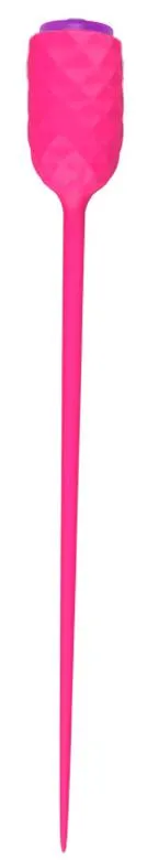 Urethral Vibrator Sound Catheter Penis Plug Sex Toys for Men Masturbation Penis Insertion Horse Eye Urethra Dilator