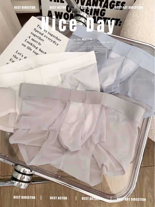 Slips transparents pour hommes Ultra-mince en soie glacée culotte à séchage rapide Sexy U poche bombée sous-vêtements pour hommes caleçons respirants Cuecas