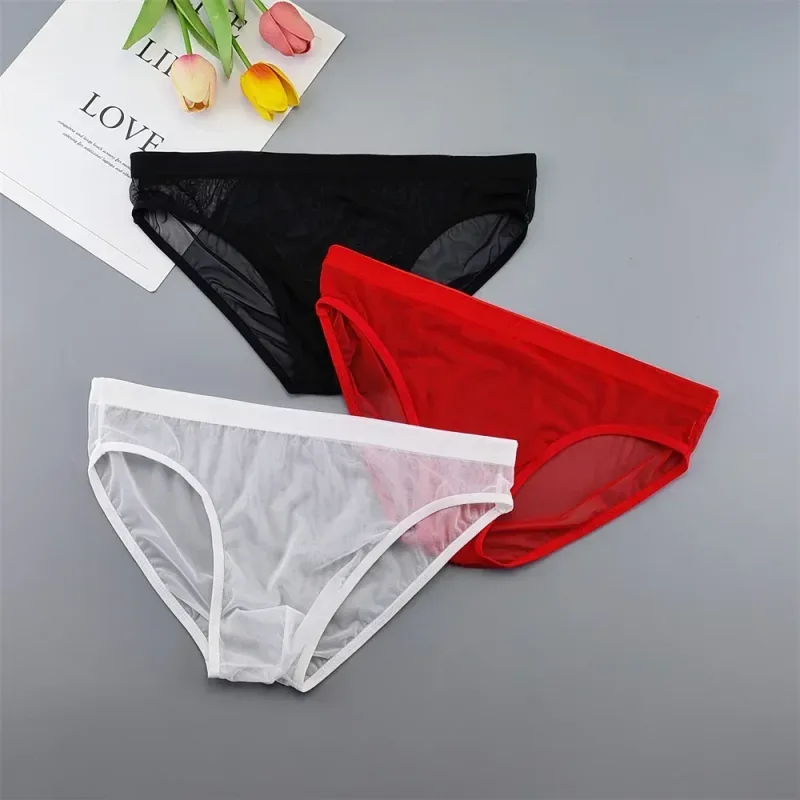 Sous-vêtements transparents de grande taille, slips Sexy pour hommes avec pochette en Nylon, slips respirants, culottes masculines XL-4XL