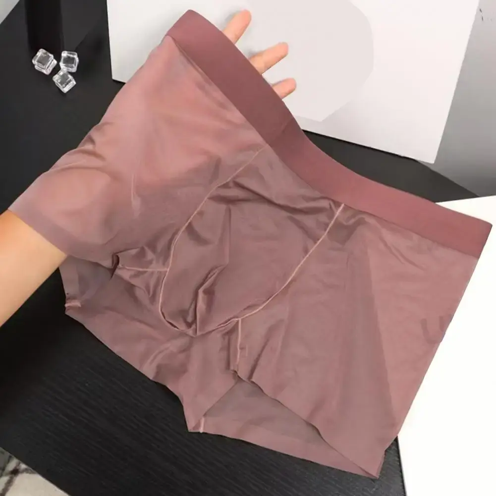 Boxer Transparent léger pour hommes, sous-vêtements élastiques, taille moyenne, convexe en U, short à Perspective fine, culotte sans couture